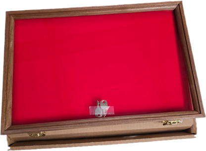 503 - Walnut  - S&D Enterprise Wood Display Case 18X12X2