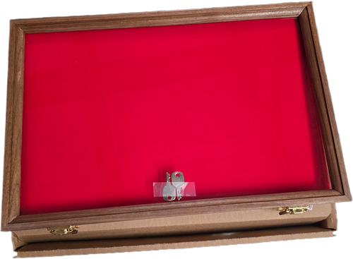 503 - Walnut  - S&D Enterprise Wood Display Case 18X12X2