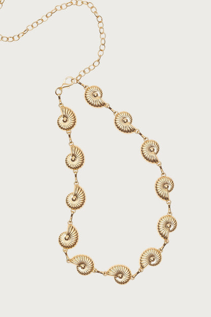 Coastal Chain Belt